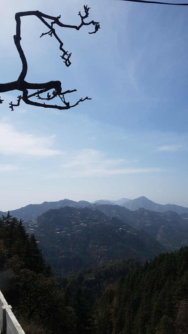 Photo of Landour: Rooted deep inside me... 12/14 by Varnika