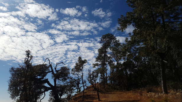 Photo of Our 'Dera' in the wilderness: Jilling Estate 6/15 by Varnika
