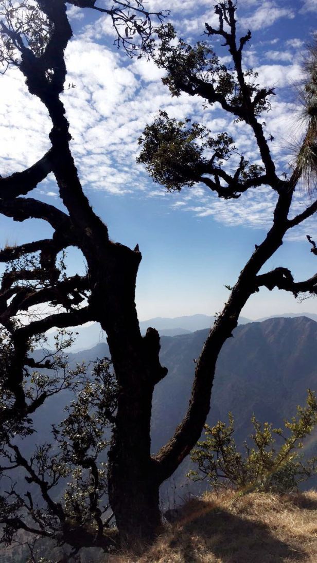 Photo of Our 'Dera' in the wilderness: Jilling Estate 9/15 by Varnika