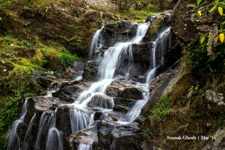 Photo of Rock Garden Darjeeling, Rock Garden Road, Bloomfield Tea Garden, West Bengal, India by Sounak Ghosh