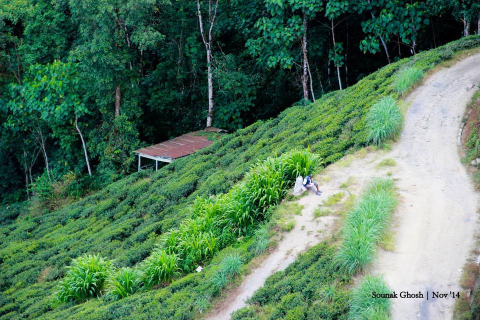 Photo of Darjeeling: The Queen of Hills by Sounak Ghosh