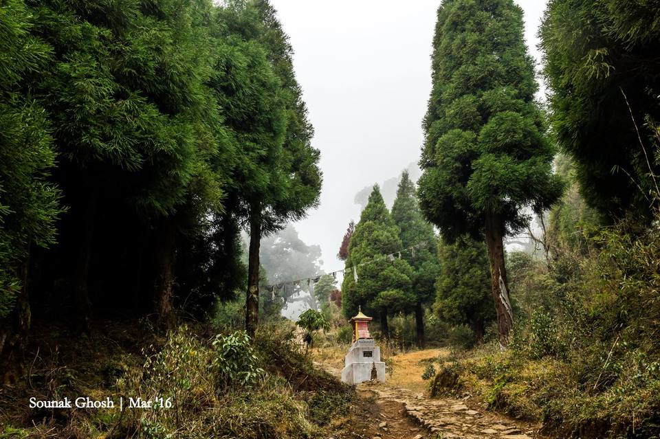 Photo of 50 Shades of Sandakphu 2/2 by Sounak Ghosh