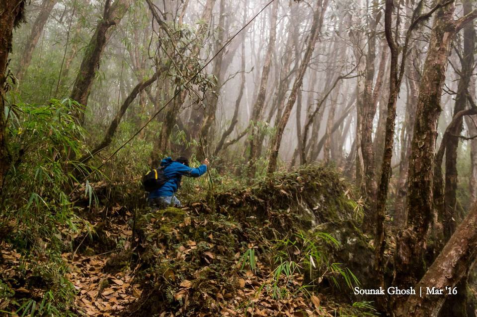 Photo of Dhotrey, West Bengal, India by Sounak Ghosh