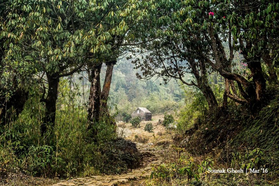 Photo of Dhotrey, West Bengal, India by Sounak Ghosh