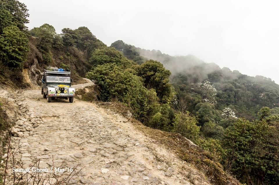 Photo of Singalila National Park, Singalila Forest, West Bengal, India by Sounak Ghosh
