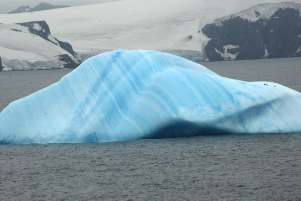 Photo of Antarctica 2009 by charlesthor