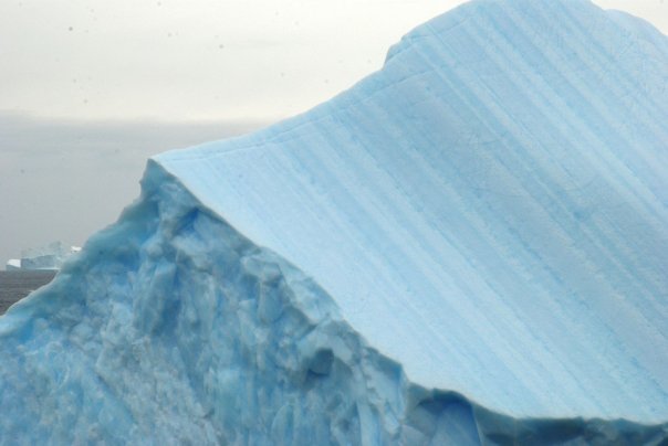 Photo of Antarctica 2009 by charlesthor