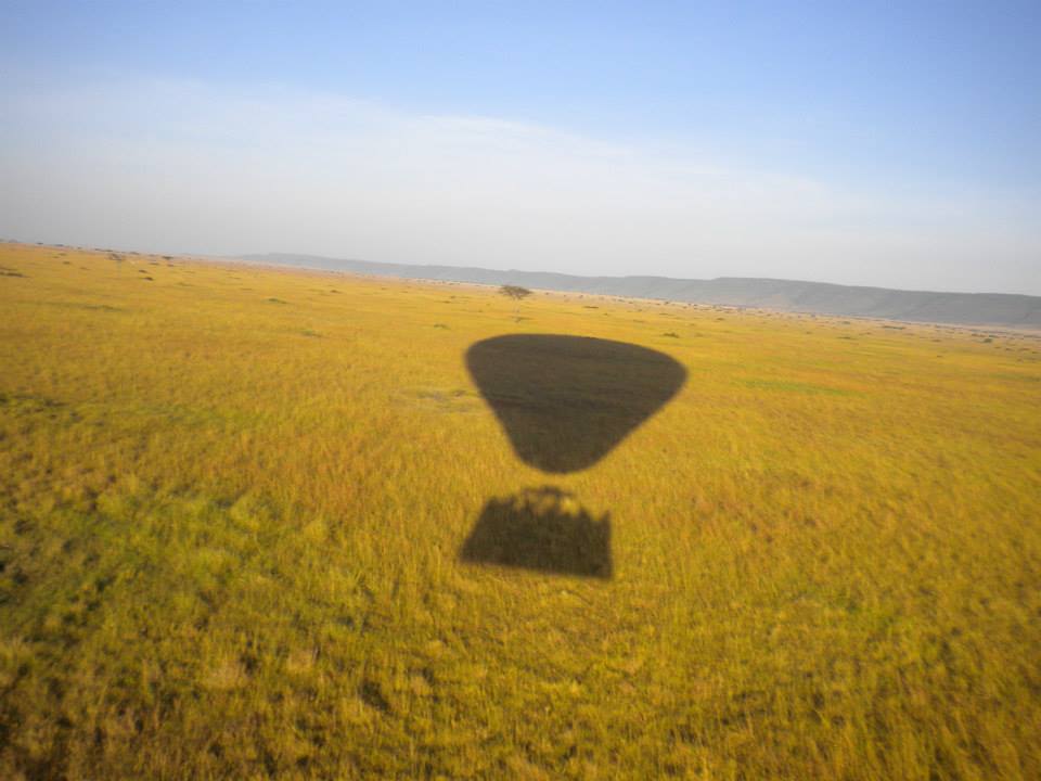 Photo of Masai Mara March 2014 by Nilesh Arora