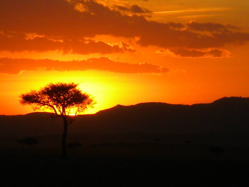 Photo of Masai Mara March 2014 by Nilesh Arora