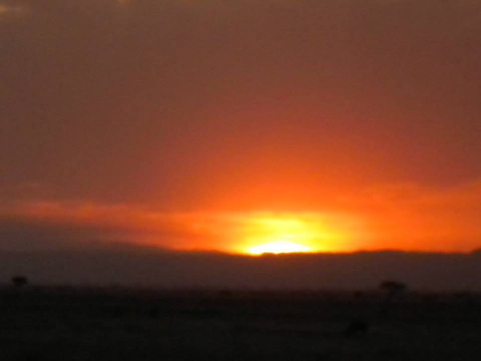 Photo of Masai Mara March 2014 by Nilesh Arora
