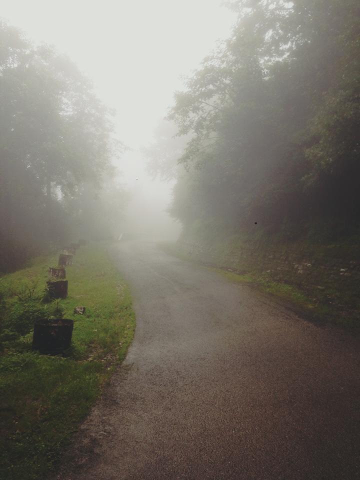 Photo of Chopta- Heaven in the Mountains 4/21 by Asha Bharati