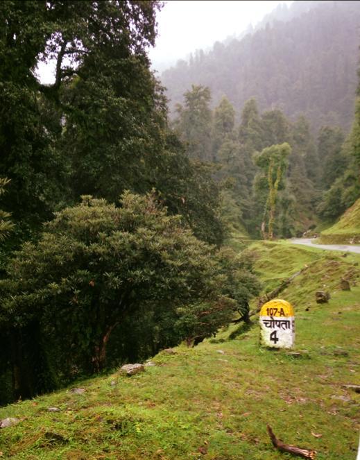 Photo of Chopta- Heaven in the Mountains 12/21 by Asha Bharati