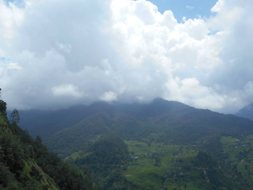 Photo of Chopta- Heaven in the Mountains 16/21 by Asha Bharati