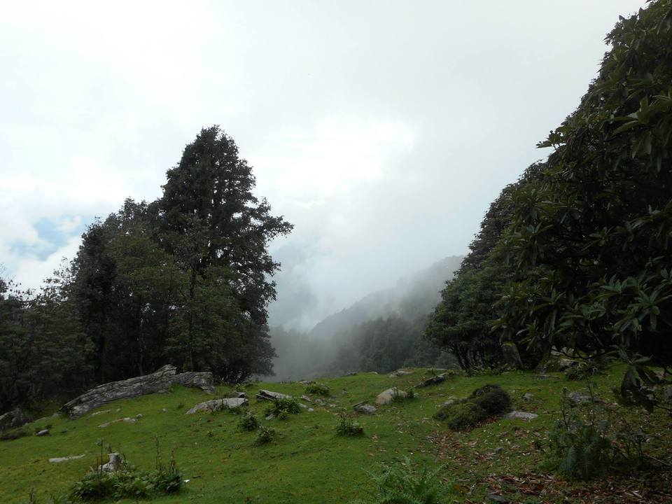 Photo of Chopta- Heaven in the Mountains 9/21 by Asha Bharati
