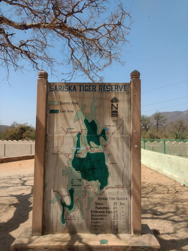 Photo of Delhi Nearby Trips: Sariska..Tiger Reserve 1/7 by Nirbhay Kumar Singh