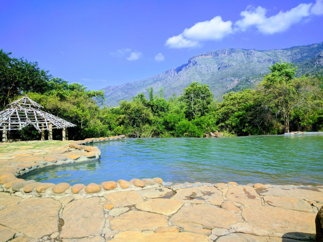 Photo of Masinagudi - A Jungle Retreat 6/9 by Khyati Maloo