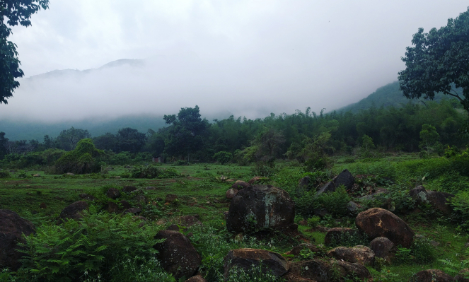 Photo of Masinagudi - A Jungle Retreat 4/6 by Khyati Maloo