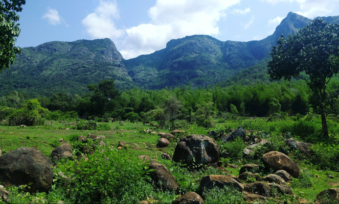 Photo of Masinagudi - A Jungle Retreat 6/6 by Khyati Maloo