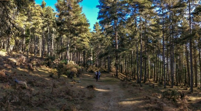Photo of Gangtey: Where you can hear silence. 4/7 by Khyati Maloo