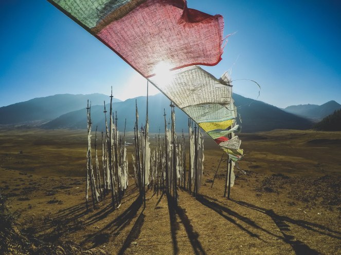 Photo of Gangtey: Where you can hear silence. 5/7 by Khyati Maloo