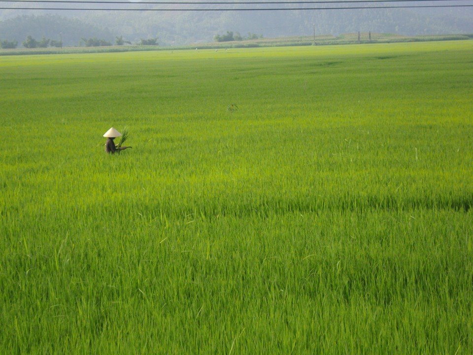 Photo of Ho Chi Minh to Hanoi: First solo backpacking trip 28/33 by Khyati Maloo