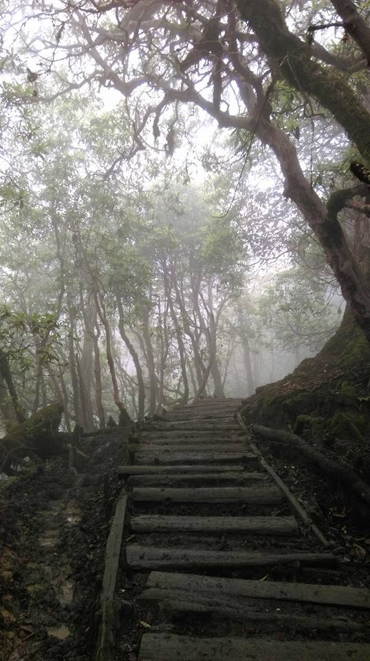 Photo of Cherish the beauty & romanticism, & live in the shadows of Mt Kangchenjunga – the Goechala Diaries 7/52 by Tushar Chatterji