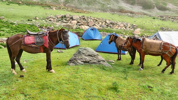 Photo of Charmed, Mesmerized, Awestruck - The 3 Exclamations that Truly Define the Kashmir Great Lakes Trek 8/25 by Tushar Chatterji
