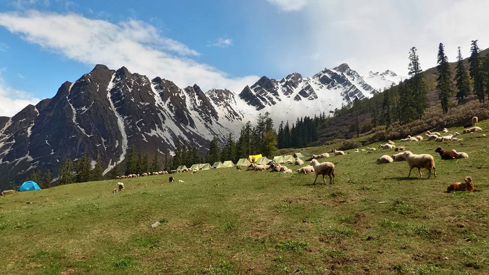 Photo of When your heart is set and the mind ajar, don't worry and climb to Sar: Sar Pass, Himachal Diaries 15/17 by Tushar Chatterji