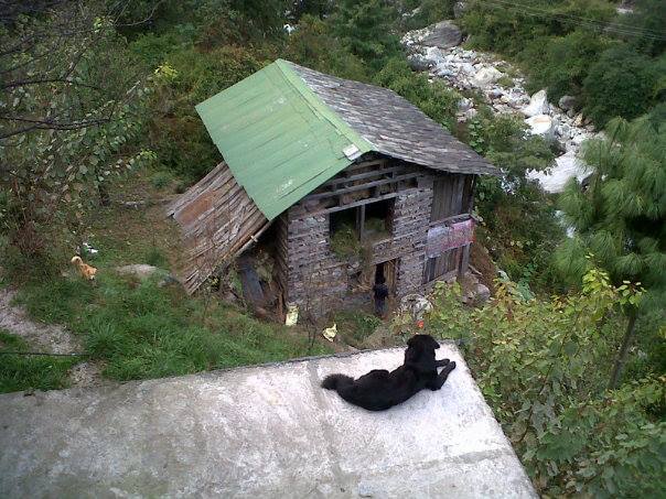 Photo of Peace at Raju's cottage 3/10 by Shweta Modgil