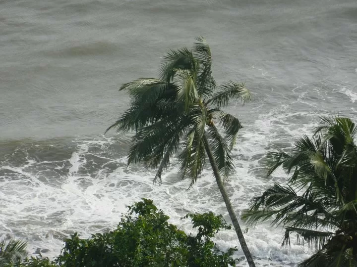 Photo of Goa, India by Devanjan