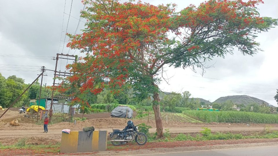 Photo of A Fully Abandoned Unplanned Road Trip 24/26 by Sethu krishnan m