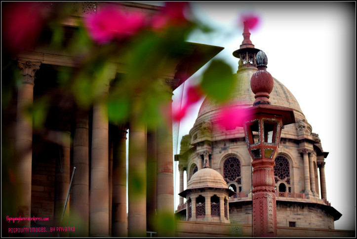 Photo of Discover my way to Rashtrapati Bhawan-Pity!! why this place was not on my bucket list 13/13 by Priyanka Singh