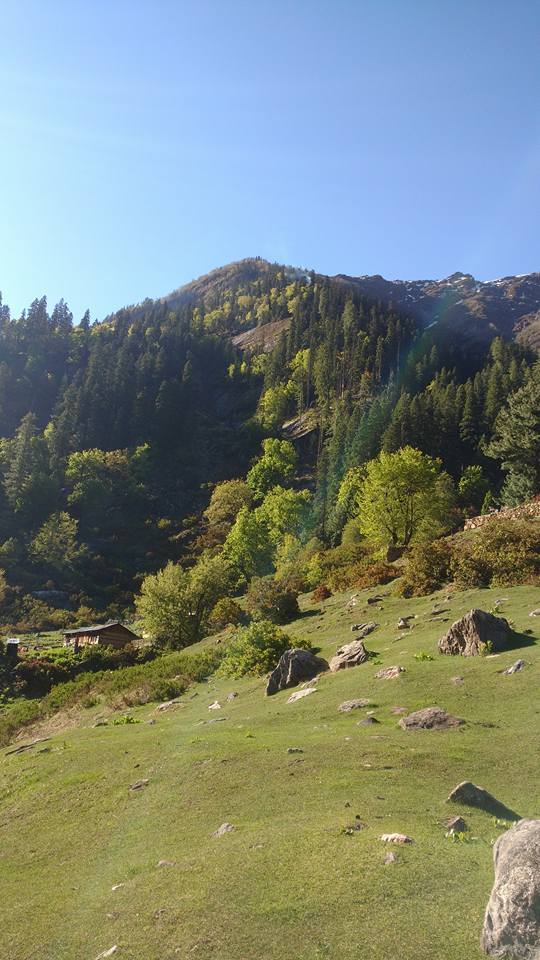 Photo of Conquering Kheerganga. 15/39 by Nishant Bhardwaj