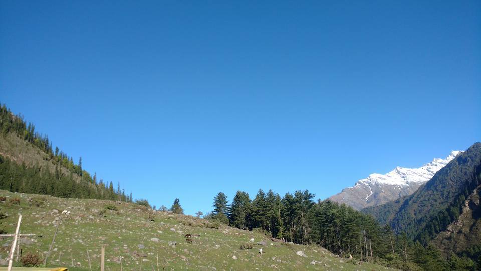 Photo of Conquering Kheerganga. 18/39 by Nishant Bhardwaj