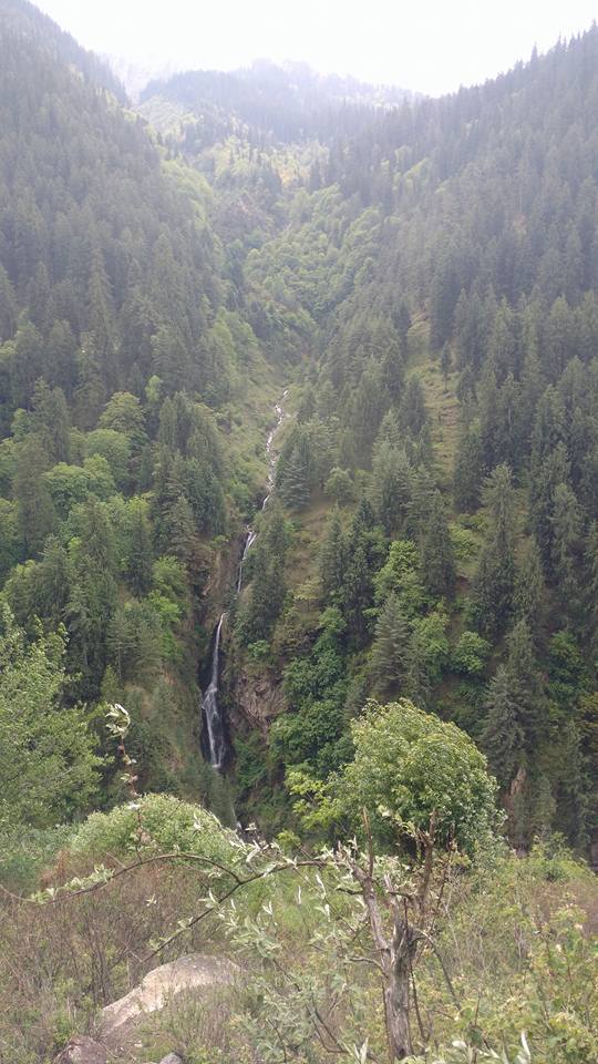 Photo of Conquering Kheerganga. 38/39 by Nishant Bhardwaj