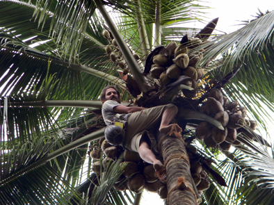Photo of Have You Ever Heard Of Coconut Island Homestay? by Oindrila Chowdhury