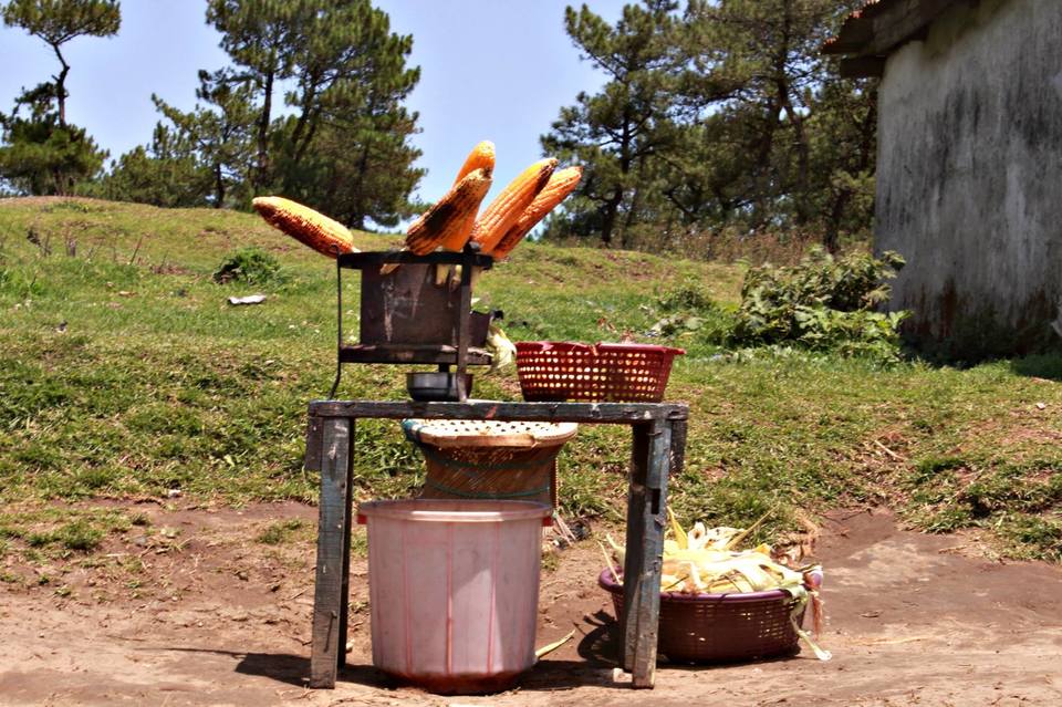 Photo of A solo trip to Shillong, Scotland of Northeast 4/4 by Rohit Singh