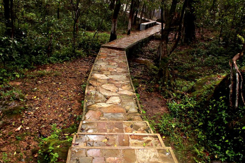 Photo of A solo trip to Shillong, Scotland of Northeast 2/4 by Rohit Singh