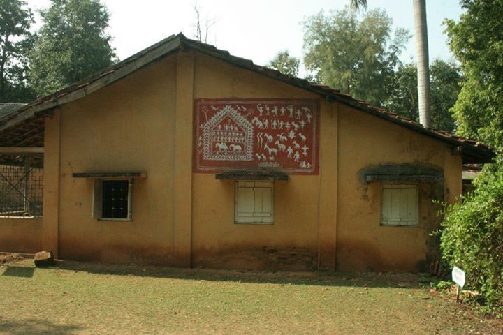 Photo of The Nagzira Memories by Zaheer Abdul