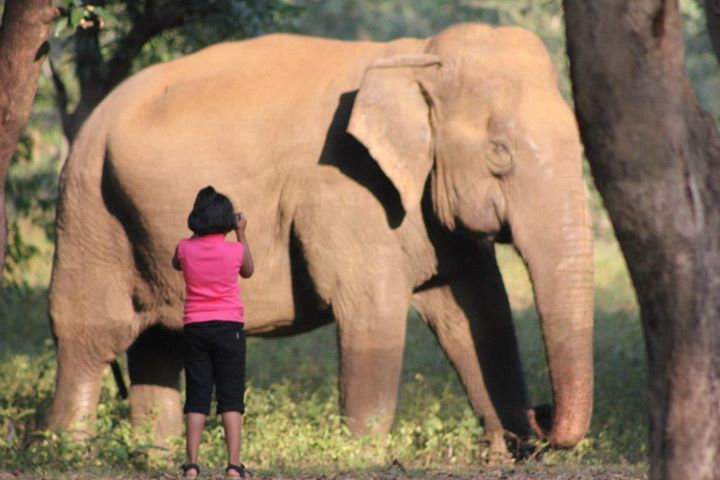 Photo of The Nagzira Memories by Zaheer Abdul