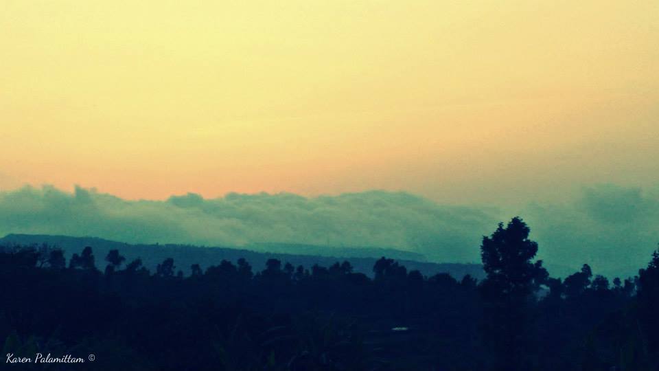 Photo of Road Trip to Mahabaleshwar the land of Strawberries 33/38 by Karie LP