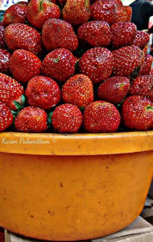 Photo of Road Trip to Mahabaleshwar the land of Strawberries 1/38 by Karie LP