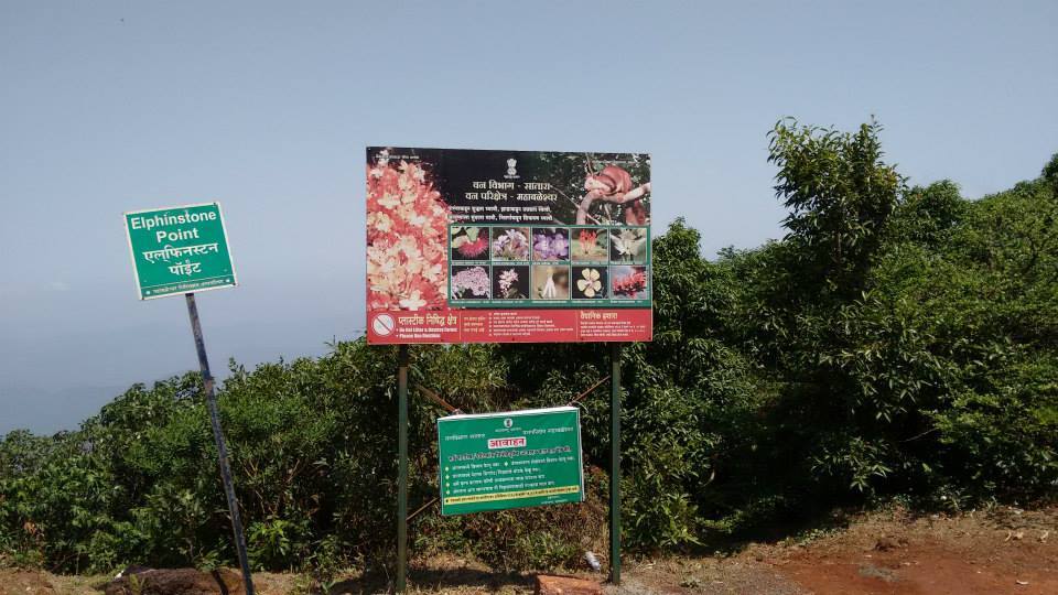 Photo of Road Trip to Mahabaleshwar the land of Strawberries 35/38 by Karie LP