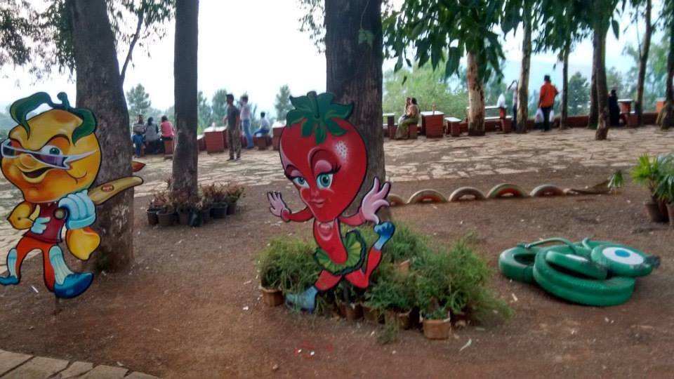 Photo of Road Trip to Mahabaleshwar the land of Strawberries 22/38 by Karie LP