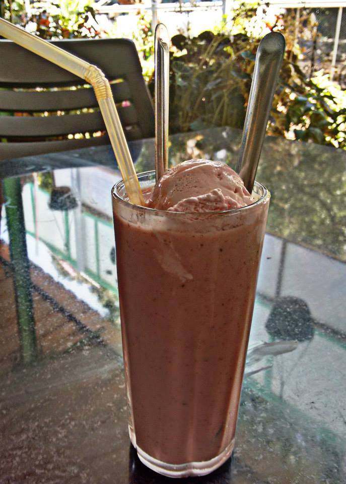 Photo of Road Trip to Mahabaleshwar the land of Strawberries 3/38 by Karie LP
