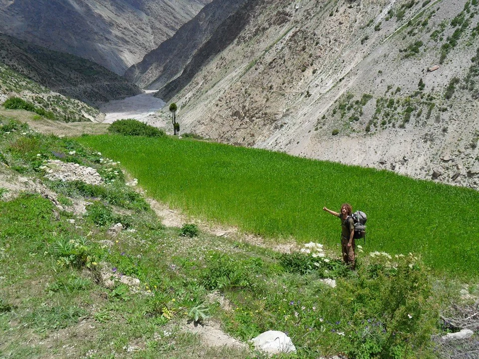 Photo of Charang Khas, Himachal Pradesh, India by Sonu Negi