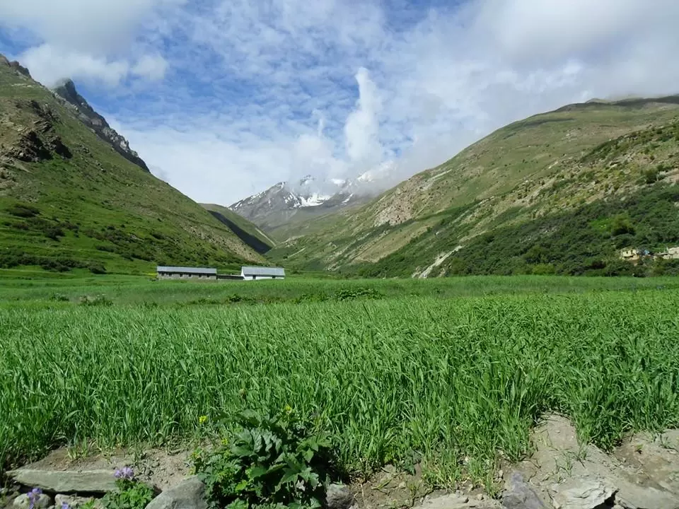 Photo of Charang Khas, Himachal Pradesh, India by Sonu Negi