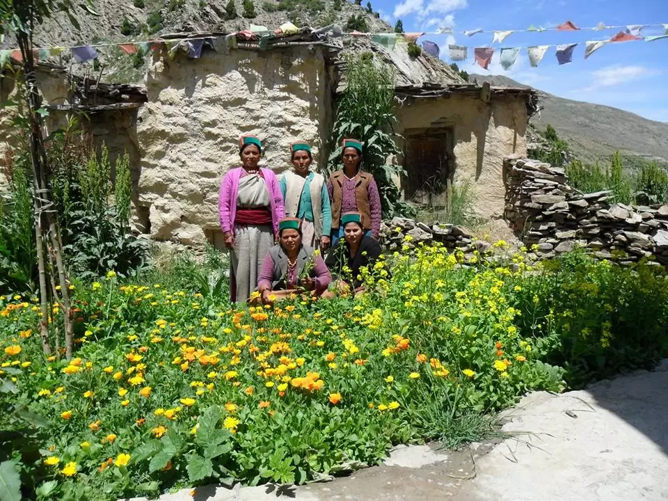 Photo of Charang Khas, Himachal Pradesh, India by Sonu Negi
