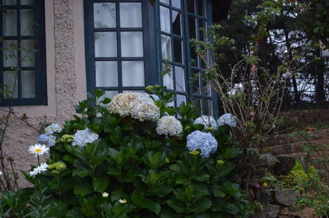 Photo of Home away from home 5/11 by Pallavi Washivale