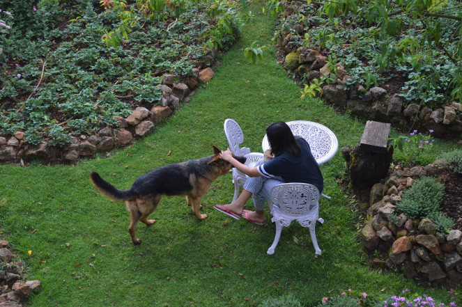 Photo of Home away from home 6/11 by Pallavi Washivale